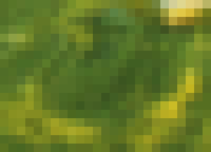 Pixelbild